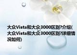 大眾Vista和大眾3000區(qū)別?介紹(大眾Vista和大眾3000區(qū)別?詳細情況如何)