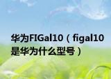 華為FIGal10（figal10是華為什么型號(hào)）