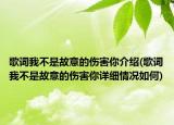 歌詞我不是故意的傷害你介紹(歌詞我不是故意的傷害你詳細(xì)情況如何)