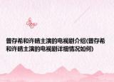 普存希和許晴主演的電視劇介紹(普存希和許晴主演的電視劇詳細(xì)情況如何)