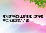 家用燃?xì)忮仩t工作原理（燃?xì)忮仩t工作原理簡介介紹）