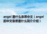 angel 是什么意思中文（angel的中文意思是什么簡介介紹）