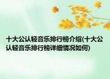 十大公認輕音樂排行榜介紹(十大公認輕音樂排行榜詳細情況如何)