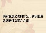 偶爾的反義詞叫什么（偶爾的反義詞是什么簡介介紹）