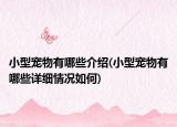 小型寵物有哪些介紹(小型寵物有哪些詳細(xì)情況如何)