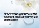 7000牛頓和1600磅哪個(gè)力量大介紹(7000牛頓和1600磅哪個(gè)力量大詳細(xì)情況如何)