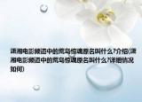 瀟湘電影頻道中的荒島驚魂原名叫什么?介紹(瀟湘電影頻道中的荒島驚魂原名叫什么?詳細(xì)情況如何)