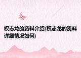 權(quán)志龍的資料介紹(權(quán)志龍的資料詳細(xì)情況如何)
