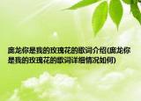 龐龍你是我的玫瑰花的歌詞介紹(龐龍你是我的玫瑰花的歌詞詳細情況如何)