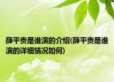 薛平貴是誰演的介紹(薛平貴是誰演的詳細(xì)情況如何)