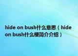 hide on bush什么意思（hide on bush什么梗簡介介紹）