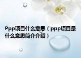 Ppp項目什么意思（ppp項目是什么意思簡介介紹）