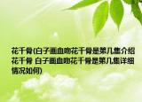 花千骨(白子畫血吻花千骨是第幾集介紹 花千骨 白子畫血吻花千骨是第幾集詳細情況如何)