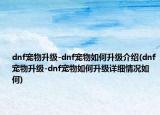 dnf寵物升級-dnf寵物如何升級介紹(dnf寵物升級-dnf寵物如何升級詳細(xì)情況如何)