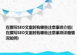 在撰寫SEO文案時(shí)有哪些注意事項(xiàng)介紹(在撰寫SEO文案時(shí)有哪些注意事項(xiàng)詳細(xì)情況如何)