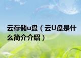 云存儲u盤（云U盤是什么簡介介紹）