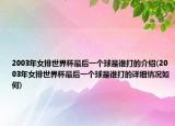 2003年女排世界杯最后一個球是誰打的介紹(2003年女排世界杯最后一個球是誰打的詳細情況如何)