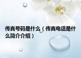 傳真號(hào)碼是什么（傳真電話是什么簡(jiǎn)介介紹）