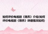 如何評價電視劇《領(lǐng)養(yǎng)》介紹(如何評價電視劇《領(lǐng)養(yǎng)》詳細(xì)情況如何)