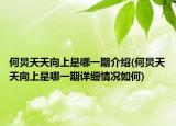 何炅天天向上是哪一期介紹(何炅天天向上是哪一期詳細(xì)情況如何)
