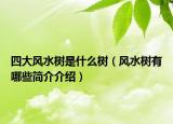 四大風水樹是什么樹（風水樹有哪些簡介介紹）