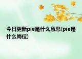 今日更新pie是什么意思(pie是什么崗位)