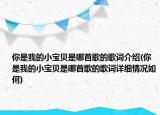 你是我的小寶貝是哪首歌的歌詞介紹(你是我的小寶貝是哪首歌的歌詞詳細情況如何)