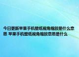今日更新蘋果手機(jī)壁紙視角縮放是什么意思 蘋果手機(jī)壁紙視角縮放意思是什么