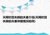 天網(wǎng)欄目失蹤的夫妻介紹(天網(wǎng)欄目失蹤的夫妻詳細(xì)情況如何)