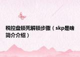 稅控盤鎖死解鎖步驟（skp是啥簡介介紹）