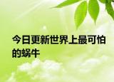 今日更新世界上最可怕的蝸牛