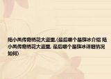 陸小鳳傳奇繡花大盜里,(最后哪個(gè)是薛冰介紹 陸小鳳傳奇繡花大盜里, 最后哪個(gè)是薛冰詳細(xì)情況如何)