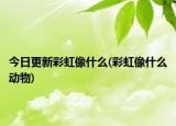 今日更新彩虹像什么(彩虹像什么動(dòng)物)