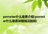 pornstar什么意思介紹(pornstar什么意思詳細(xì)情況如何)