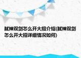 弒神雙劍怎么開大招介紹(弒神雙劍怎么開大招詳細情況如何)