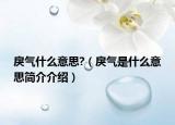 戾氣什么意思?（戾氣是什么意思簡(jiǎn)介介紹）