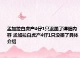 孟加拉白虎產(chǎn)4仔1只沒墨了詳細(xì)內(nèi)容 孟加拉白虎產(chǎn)4仔1只沒墨了具體介紹