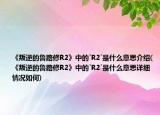《叛逆的魯路修R2》中的`R2`是什么意思介紹(《叛逆的魯路修R2》中的`R2`是什么意思詳細情況如何)