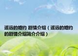 遙遠(yuǎn)的婚約 劇情介紹（遙遠(yuǎn)的婚約的劇情介紹簡介介紹）