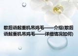 歇后語起重機吊雞毛——介紹(歇后語起重機吊雞毛——詳細情況如何)