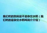 我們吃的到底是不是雜交水稻（我們吃的是雜交水稻嗎簡介介紹）