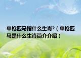 單槍匹馬指什么生肖?（單槍匹馬是什么生肖簡介介紹）