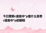 今日更新c語言中*p是什么意思 c語言中*p的解釋