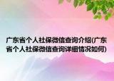 廣東省個(gè)人社保微信查詢(xún)介紹(廣東省個(gè)人社保微信查詢(xún)?cè)敿?xì)情況如何)