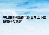 今日更新a股是什么(公司上市意味著什么意思)