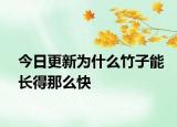 今日更新為什么竹子能長得那么快