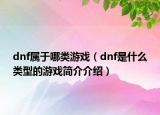 dnf屬于哪類游戲（dnf是什么類型的游戲簡介介紹）