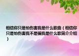 相信你只是怕傷害我是什么歌曲（相信你只是怕傷害我不是騙我是什么歌簡(jiǎn)介介紹）