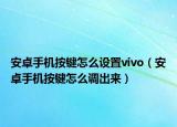 安卓手機按鍵怎么設(shè)置vivo（安卓手機按鍵怎么調(diào)出來）