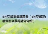 dnf閃耀徽章哪里多（dnf閃耀的徽章怎么獲得簡介介紹）